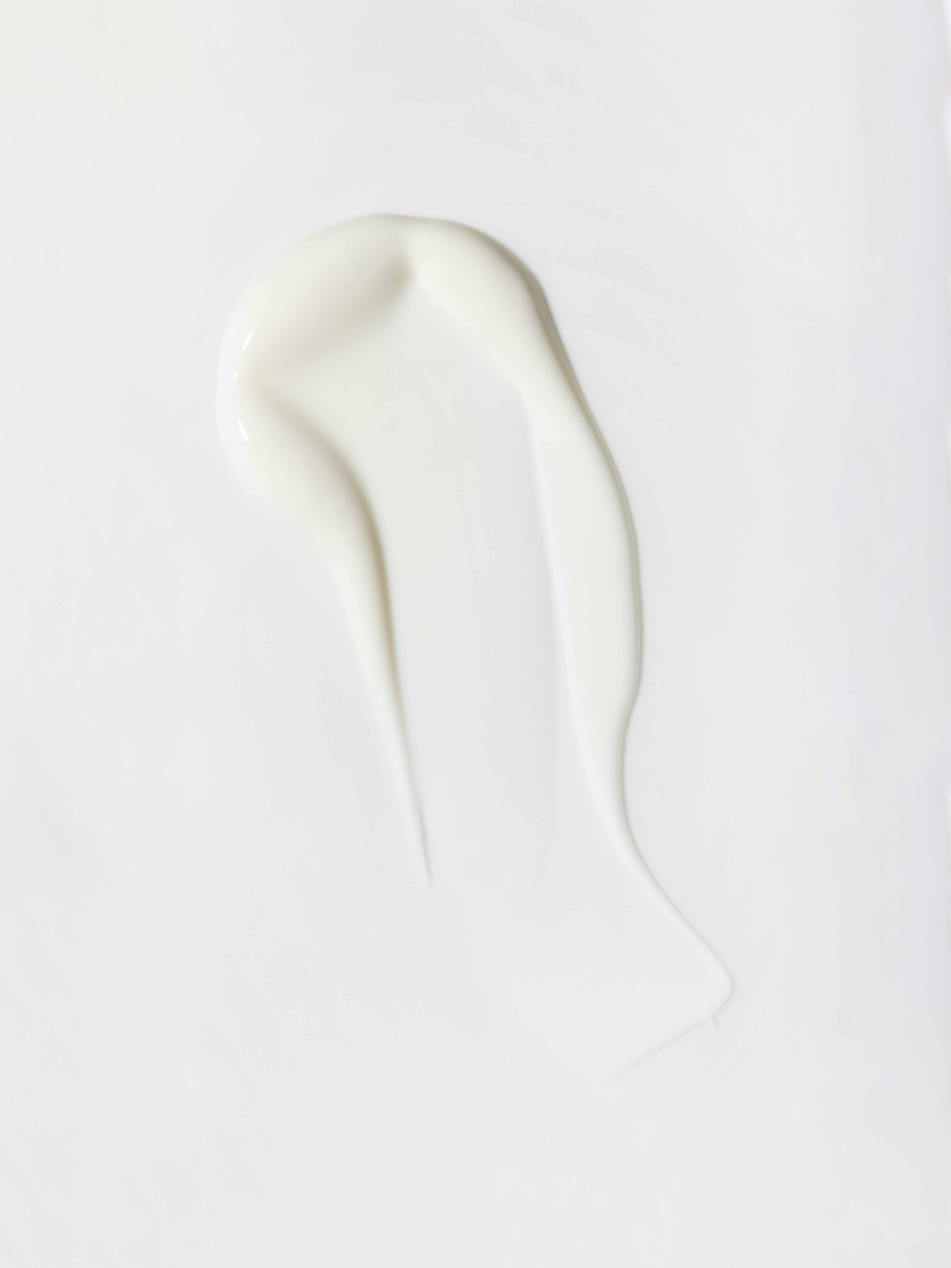 Skin Renewing Day Cream 50ml Susanne Kaufmann