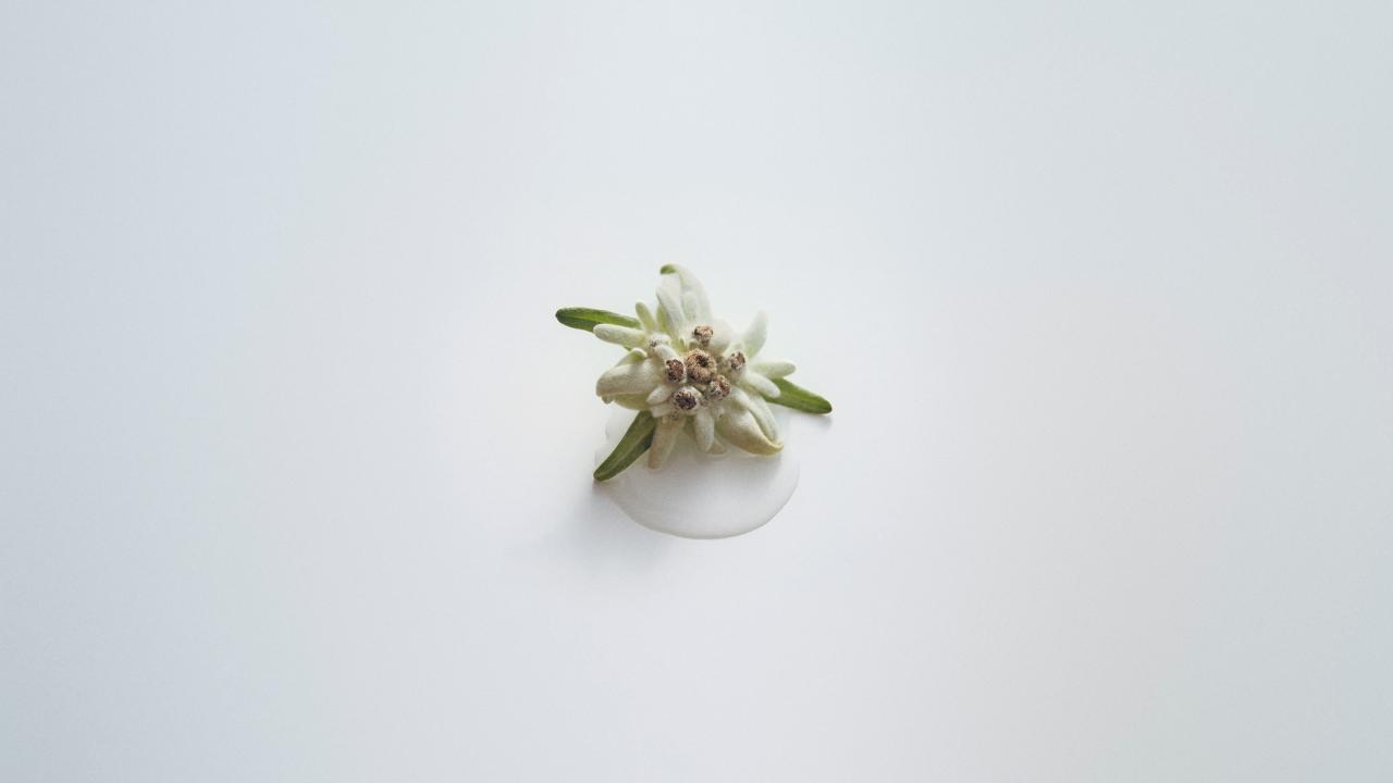 Natural Anti-Ageing Face Creams: What to Look for, and Why Ingredients Matter - Susanne Kaufmann EN