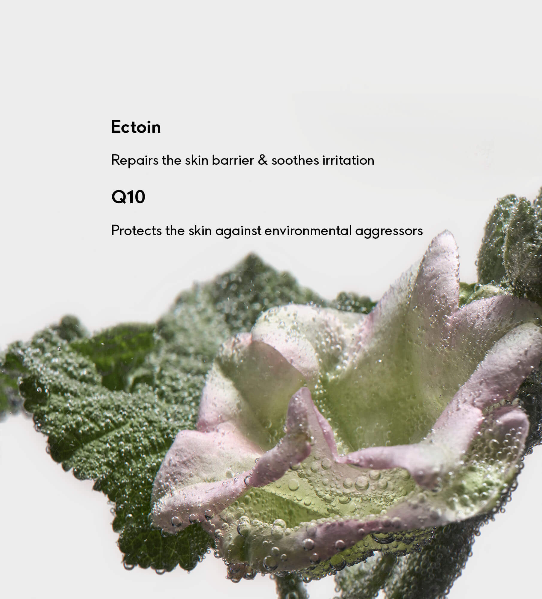 Ectoin ingredient Q10 Repair Serum susanne kaufmann 